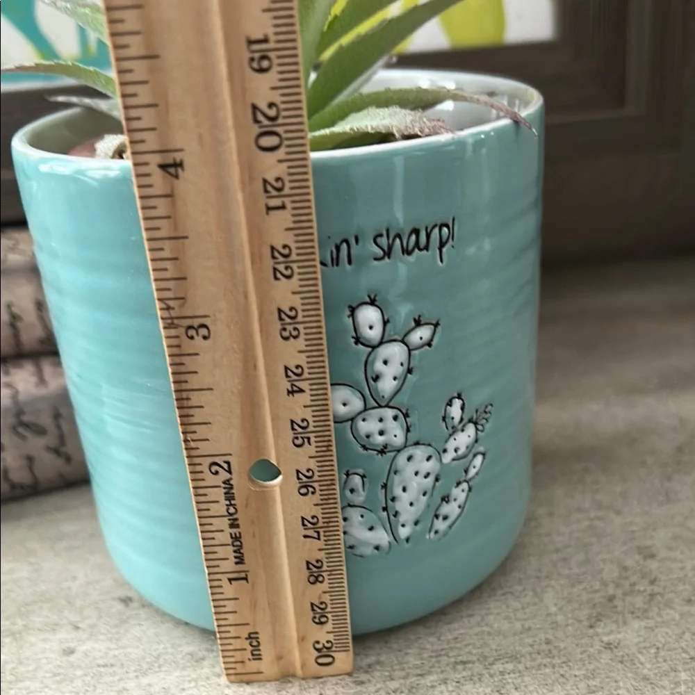 Lookin' Sharp Boho Cactus Succulent Planter
